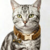 猫-棕-1 Crystal Pet Necklaces