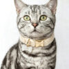 Crystal Pet Necklaces