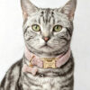猫-粉-1 Crystal Pet Necklaces