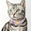 Crystal Pet Necklaces