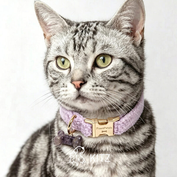 Crystal Pet Necklaces
