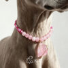 Crystal Pet Necklaces
