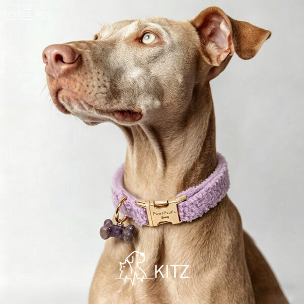 Crystal Pet Necklaces