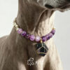 Crystal Pet Necklaces