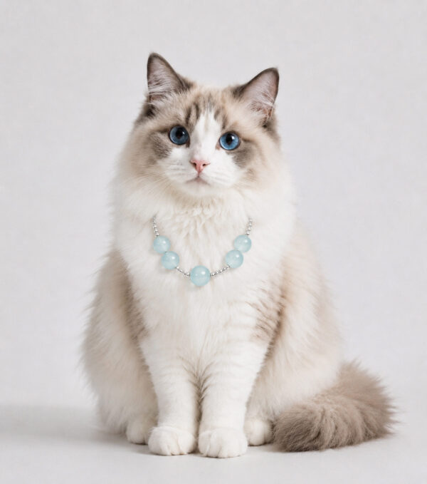 Cat Eye Pet Necklace