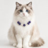 Cat Eye Pet Necklace