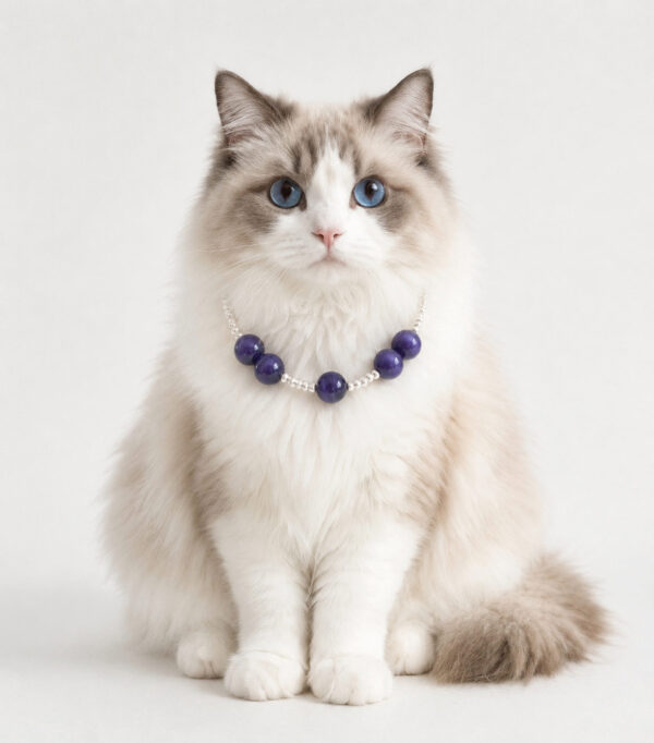 Cat Eye Pet Necklace