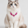 Cat Eye Pet Necklace