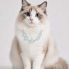 Cat Eye Pet Necklace