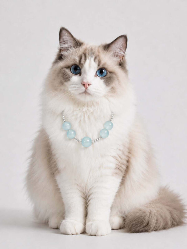Cat Eye Pet Necklace