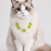 Cat Eye Pet Necklace