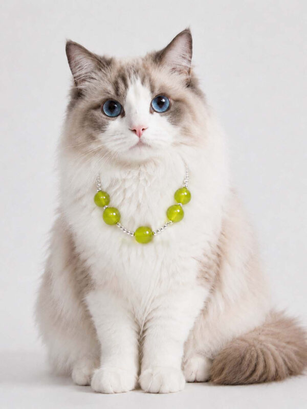 Cat Eye Pet Necklace