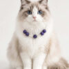 Cat Eye Pet Necklace