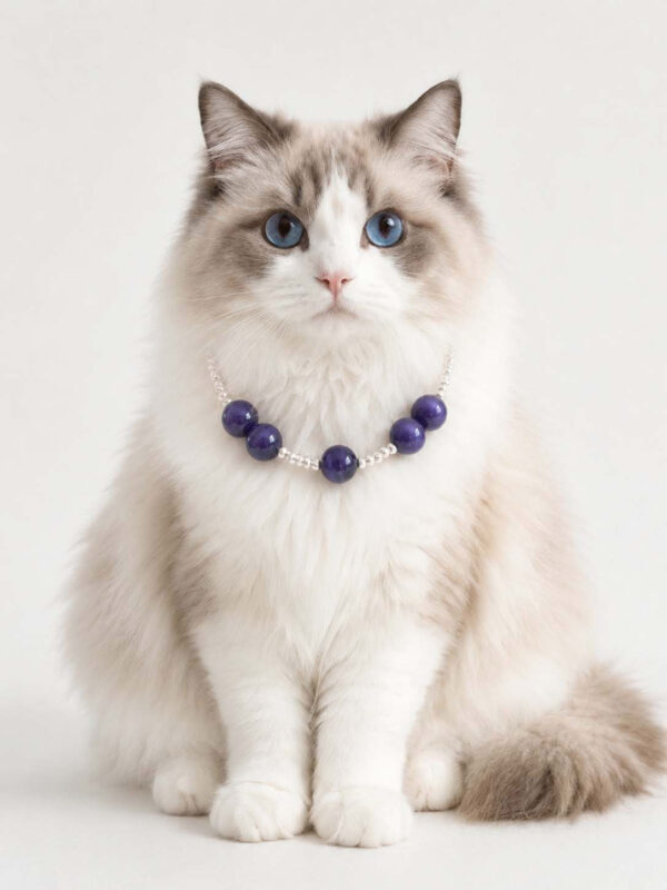 Cat Eye Pet Necklace