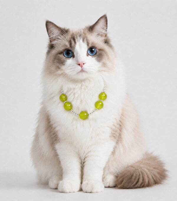 Cat Eye Pet Necklace
