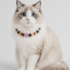 Crystal Pet Necklaces