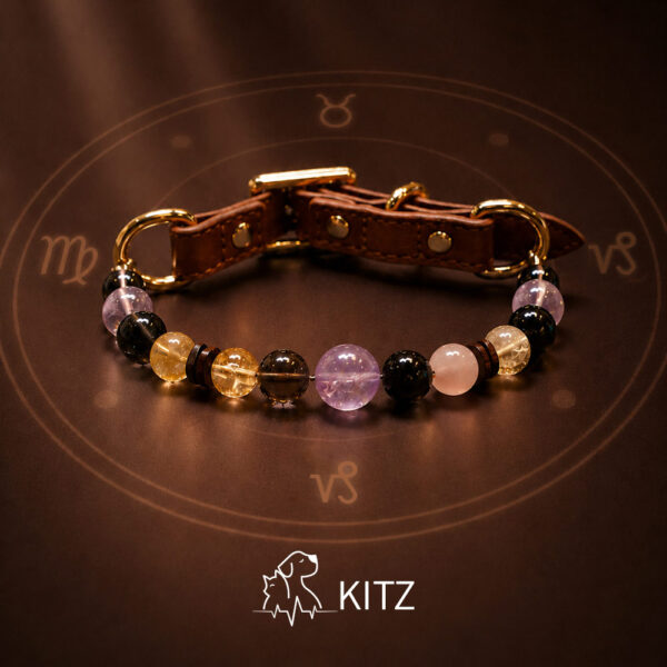 Crystal Pet Necklaces
