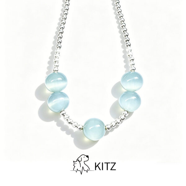 Cat Eye Pet Necklace