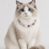 Crystal Pet Necklaces