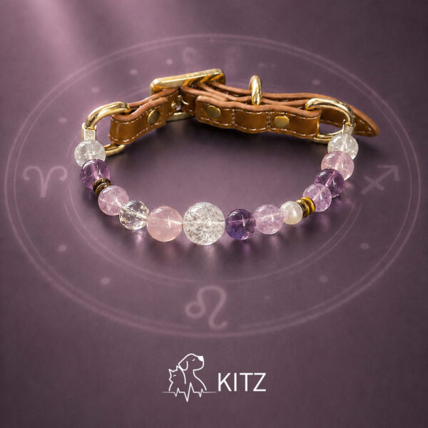 Crystal Pet Necklaces