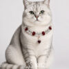 红 Crystal Pet Necklaces