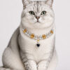 黄 Crystal Pet Necklaces