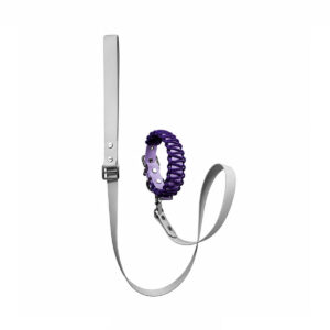 Dog Leash