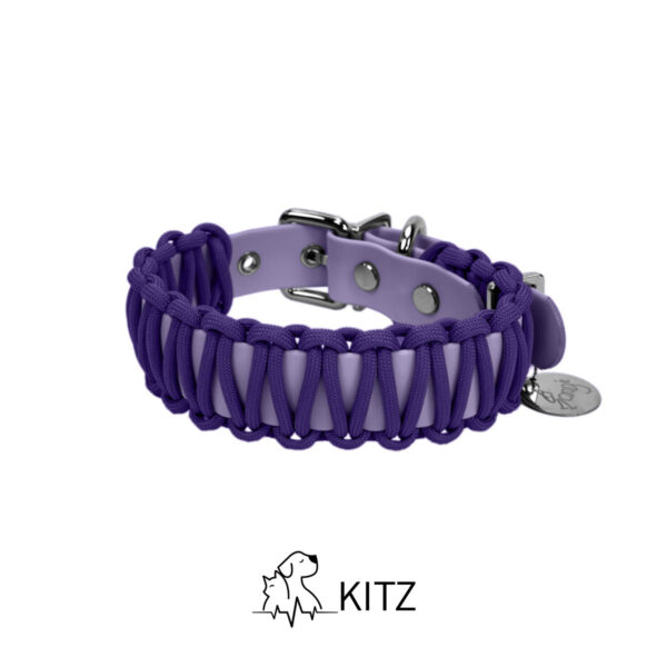 紫色主图1 Dog Collar