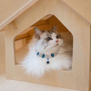 Cat Gifts